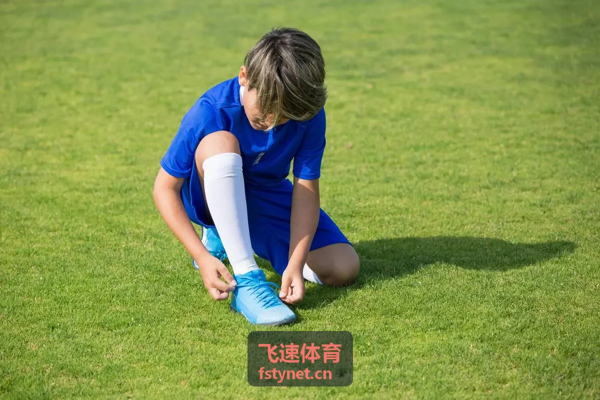 飞速体育对比图表